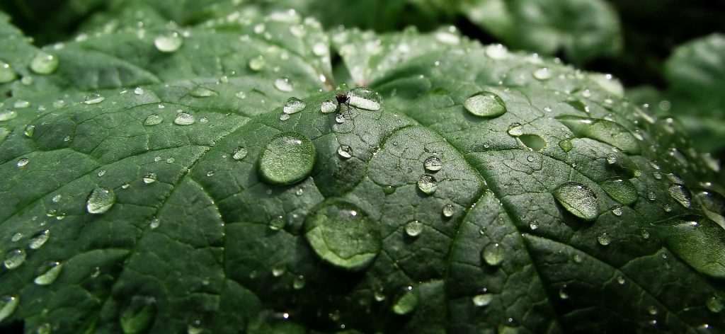 Terapiapalveluja Pietarsaaressa ja lähialueella